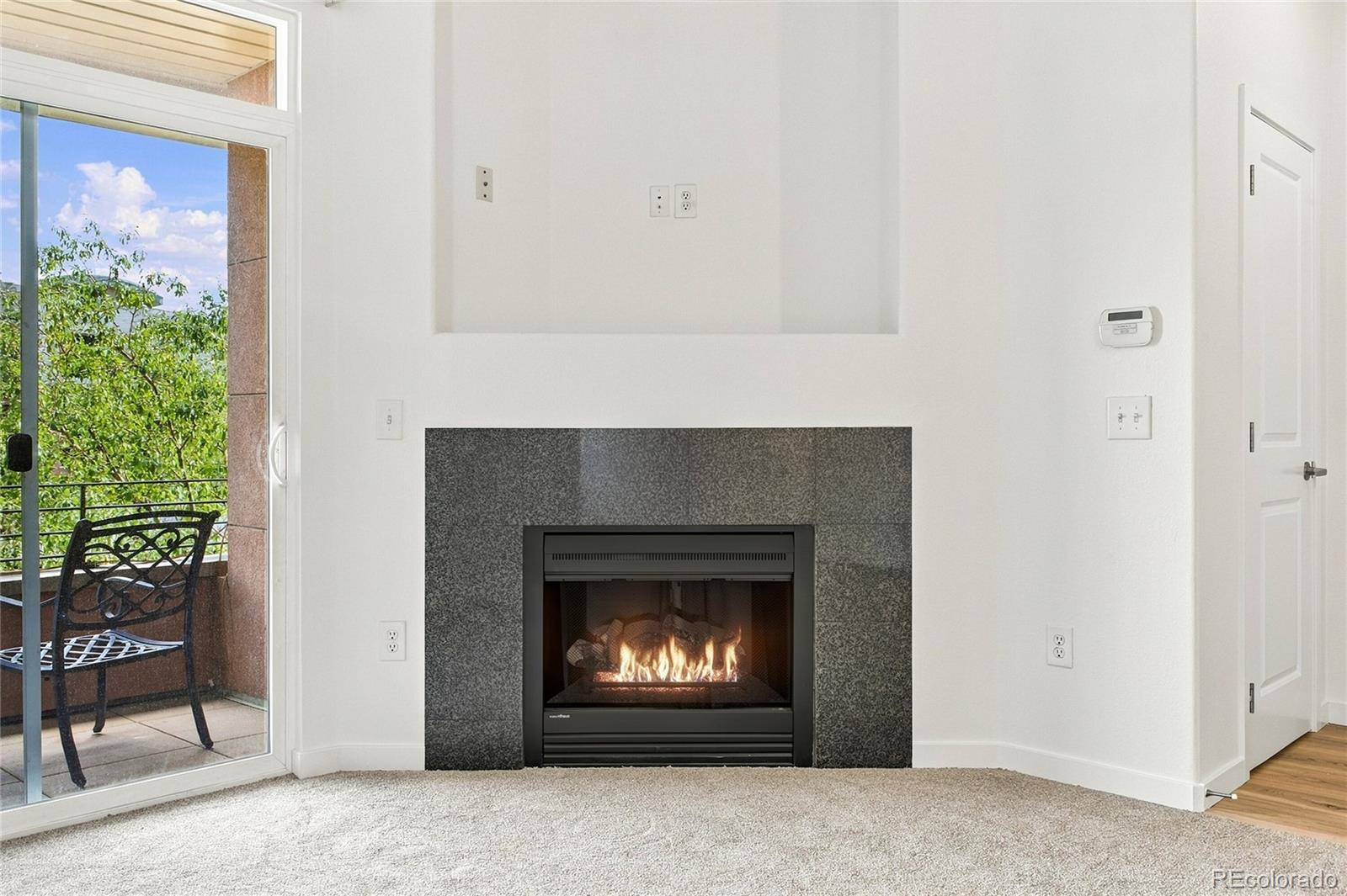MLS Image #3 for 4100  albion street 618,denver, Colorado