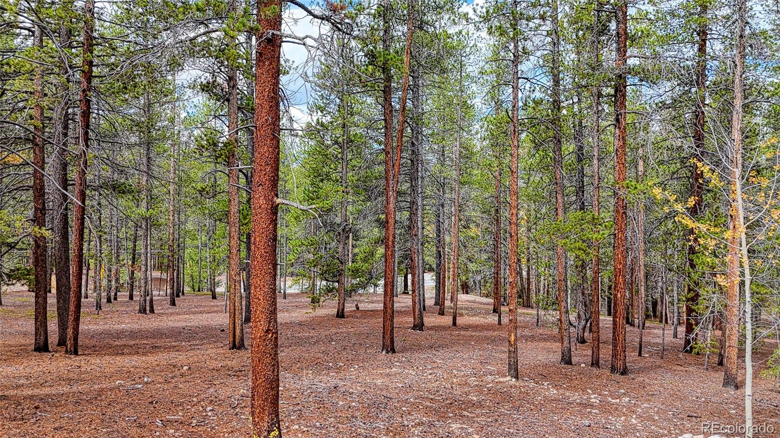 MLS Image #22 for 1871  garnet street,leadville, Colorado