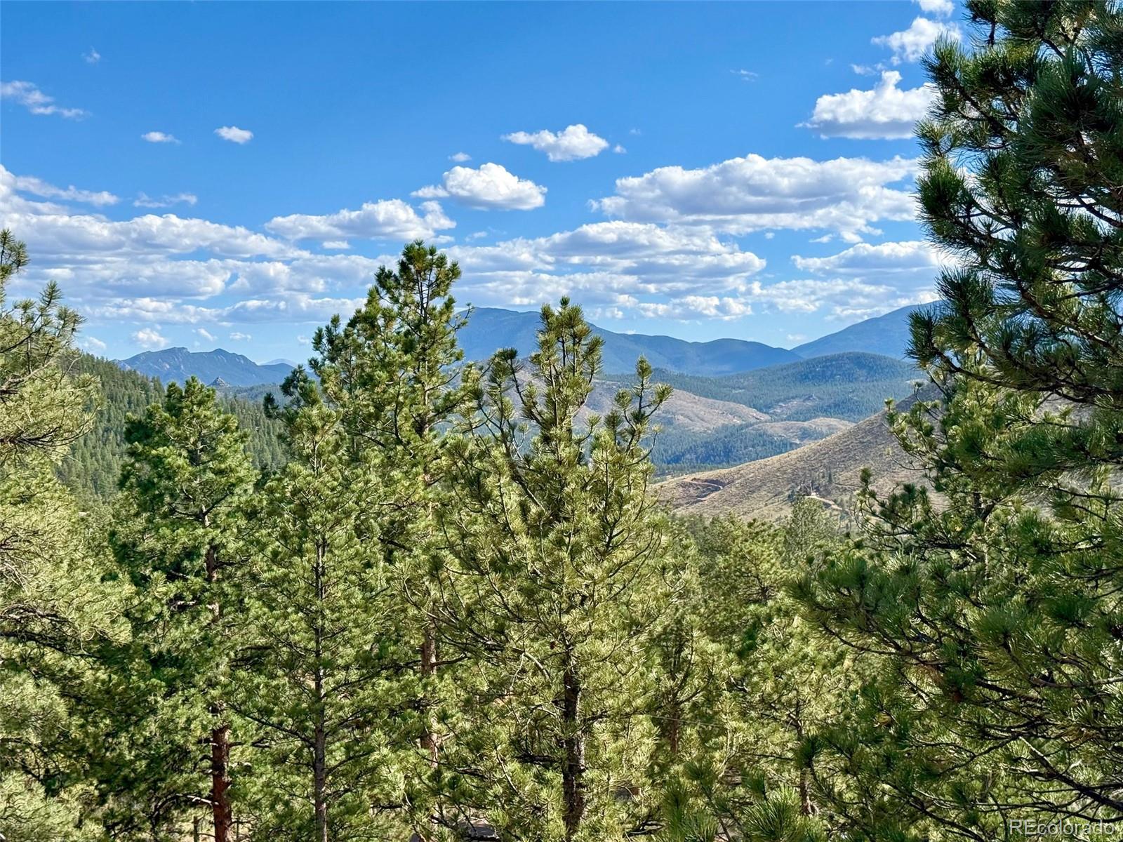 MLS Image #15 for 15194 s swiss road,pine, Colorado