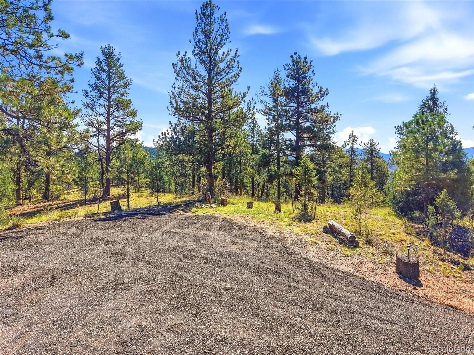 MLS Image #44 for 15194 s swiss road,pine, Colorado