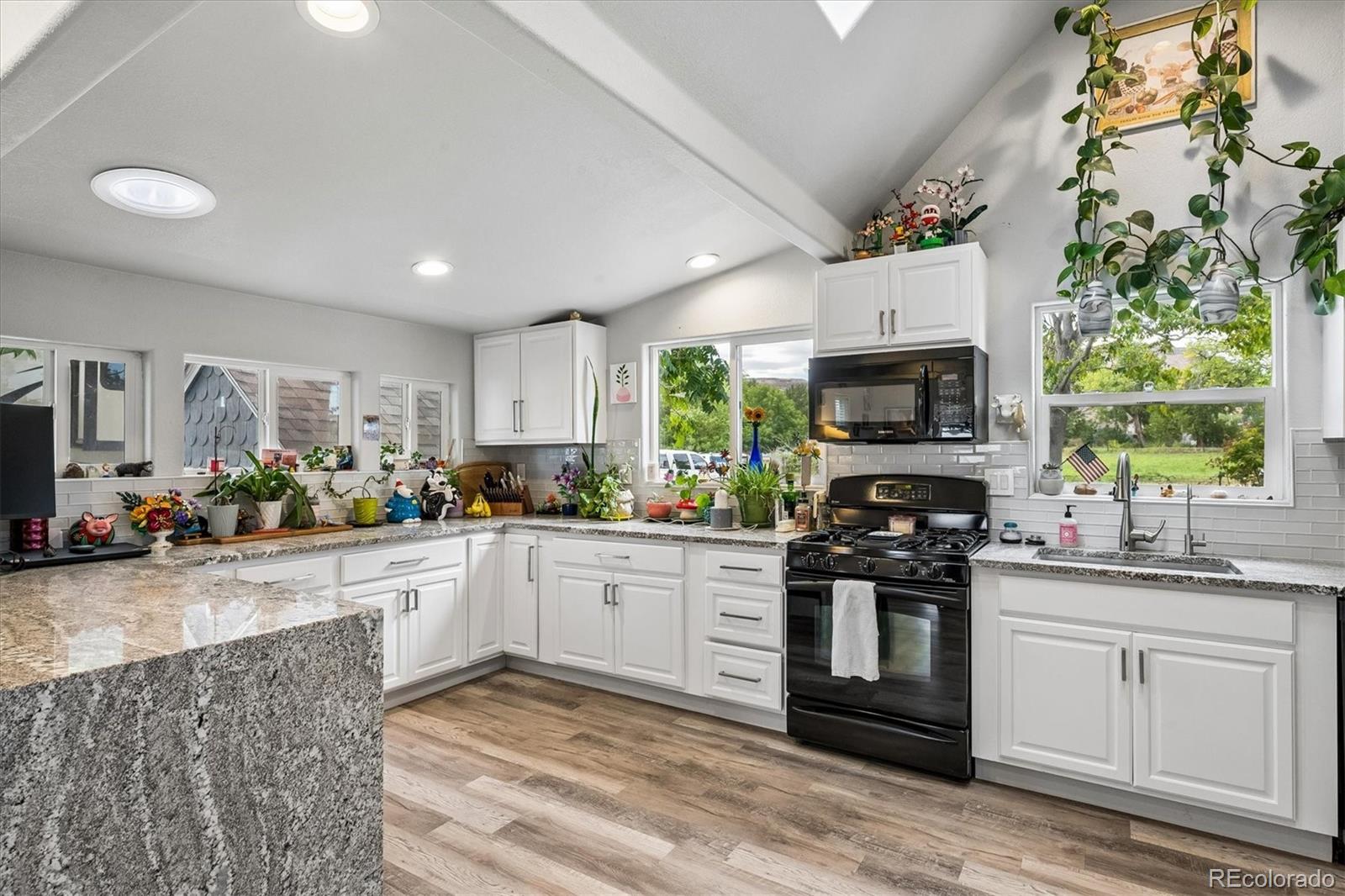MLS Image #3 for 5213  mcintyre street,golden, Colorado