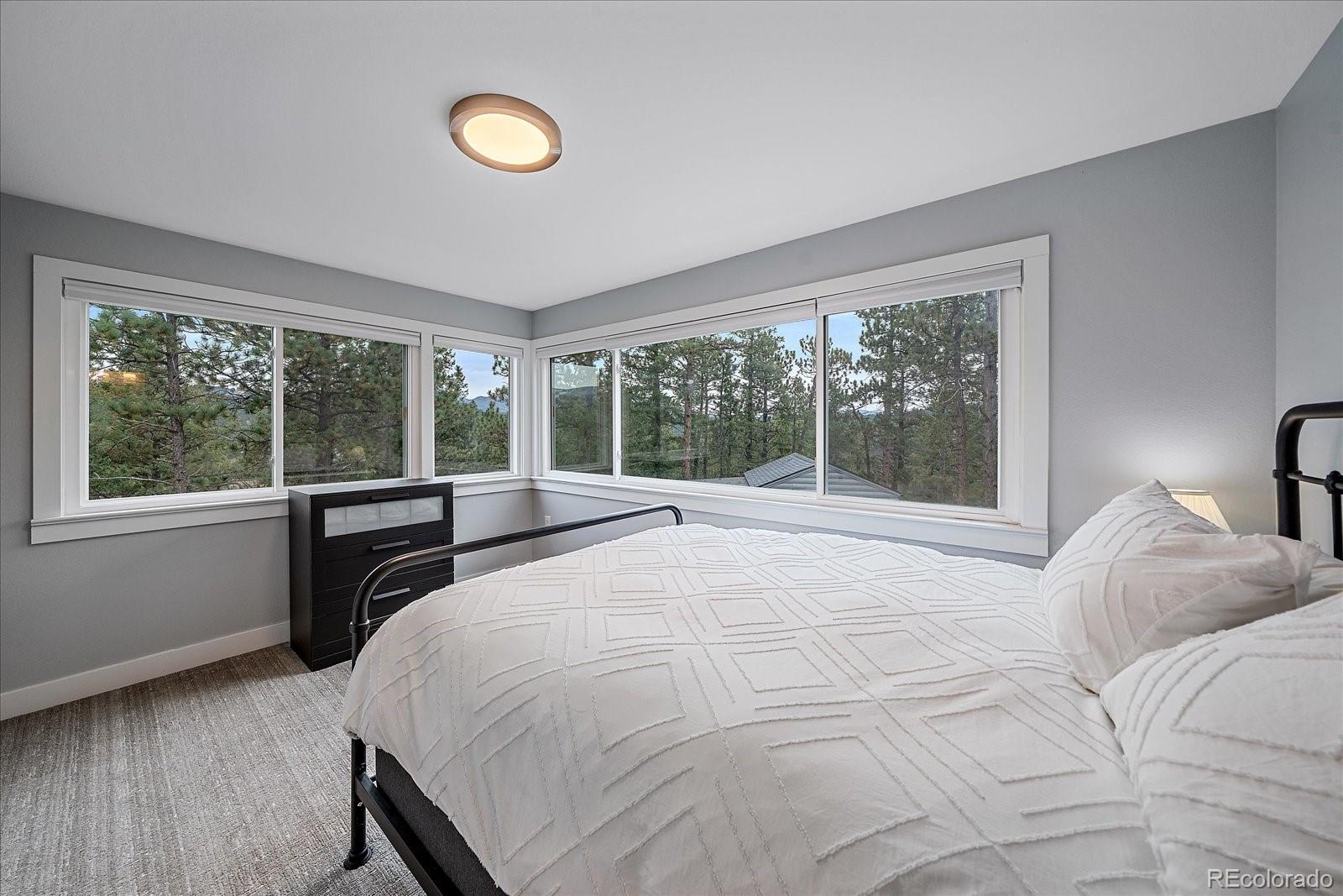 MLS Image #15 for 28001  camel heights circle,evergreen, Colorado