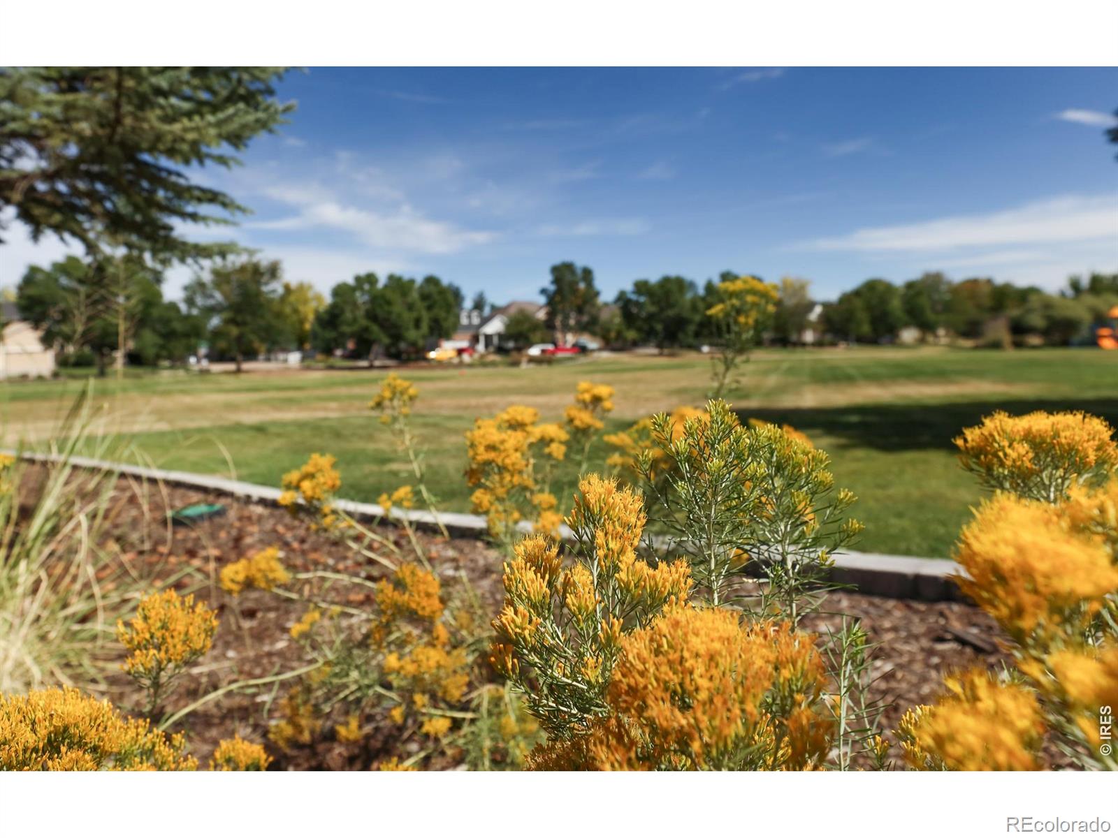 MLS Image #36 for 1702  sicily drive,longmont, Colorado