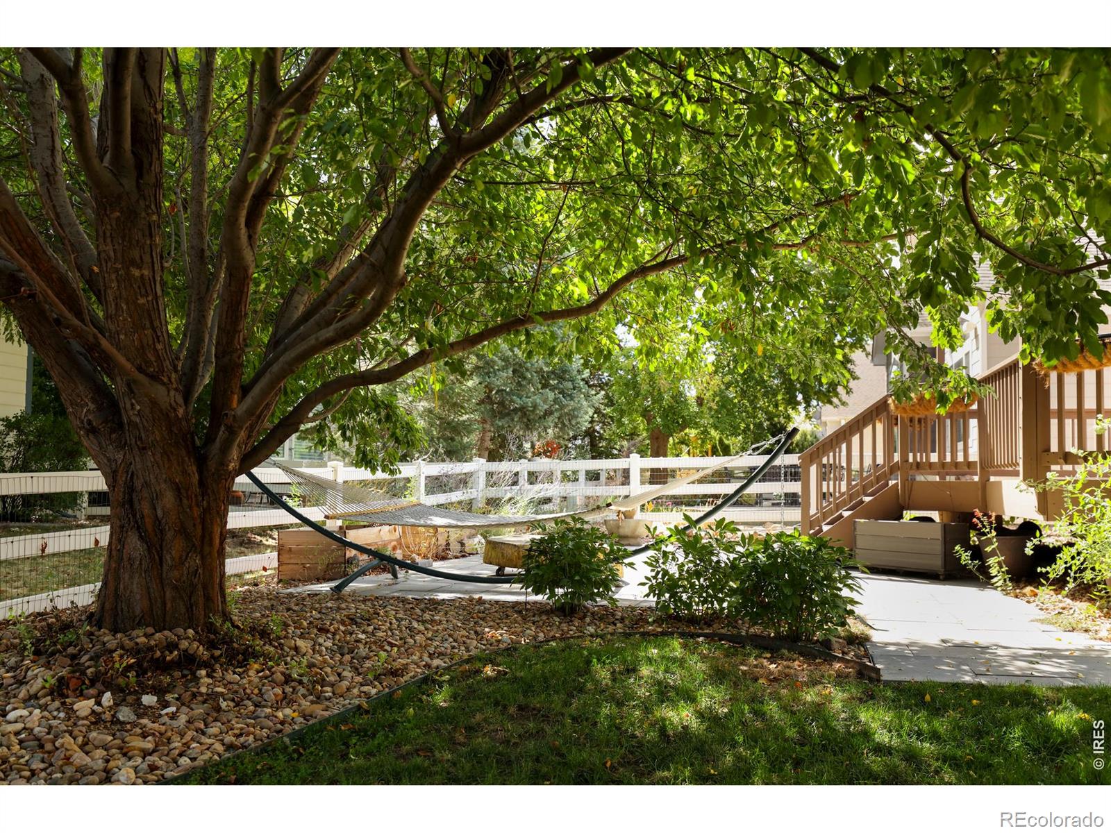 MLS Image #4 for 1702  sicily drive,longmont, Colorado