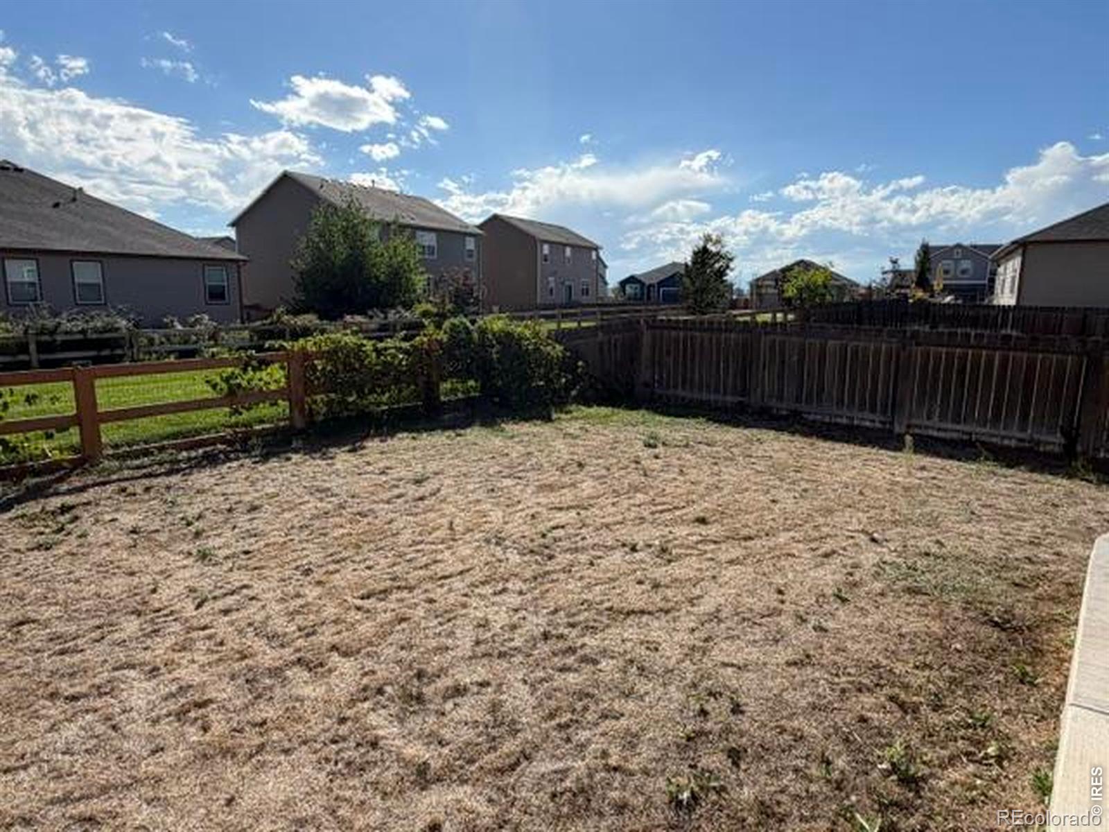 MLS Image #22 for 1675  highfield drive,windsor, Colorado