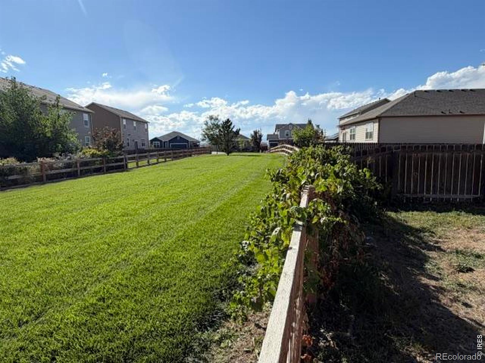 MLS Image #23 for 1675  highfield drive,windsor, Colorado