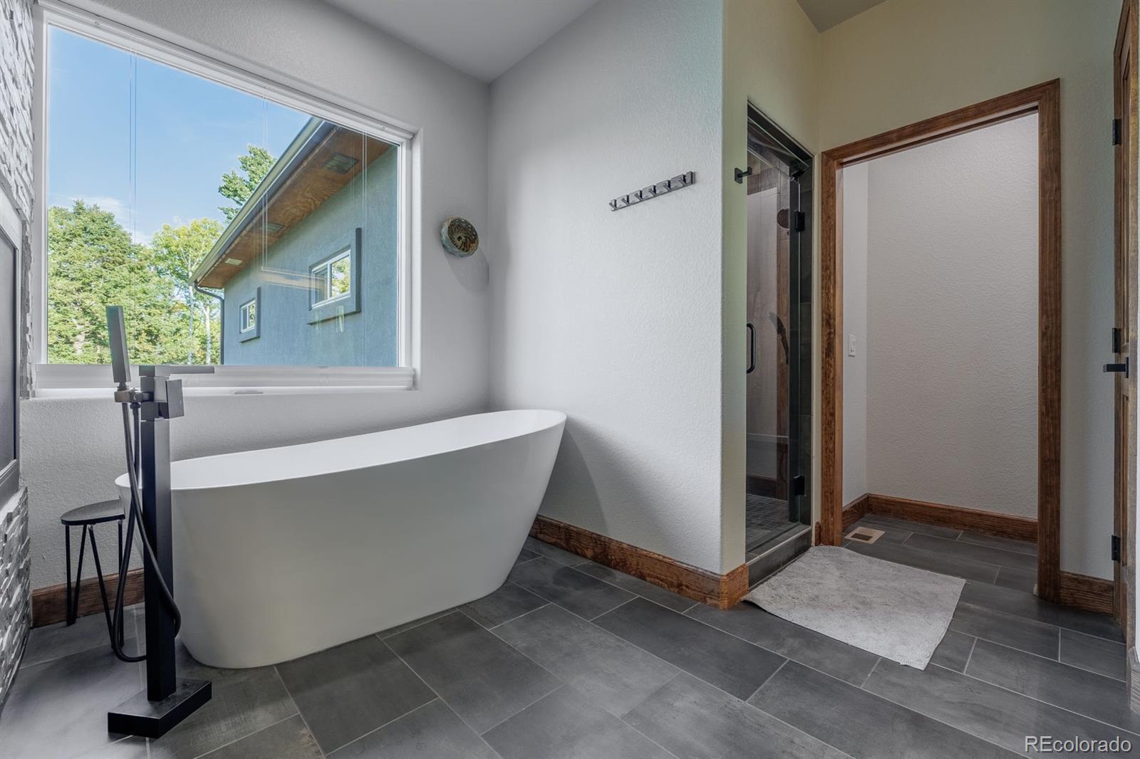 MLS Image #10 for 549  aspen village road,divide, Colorado