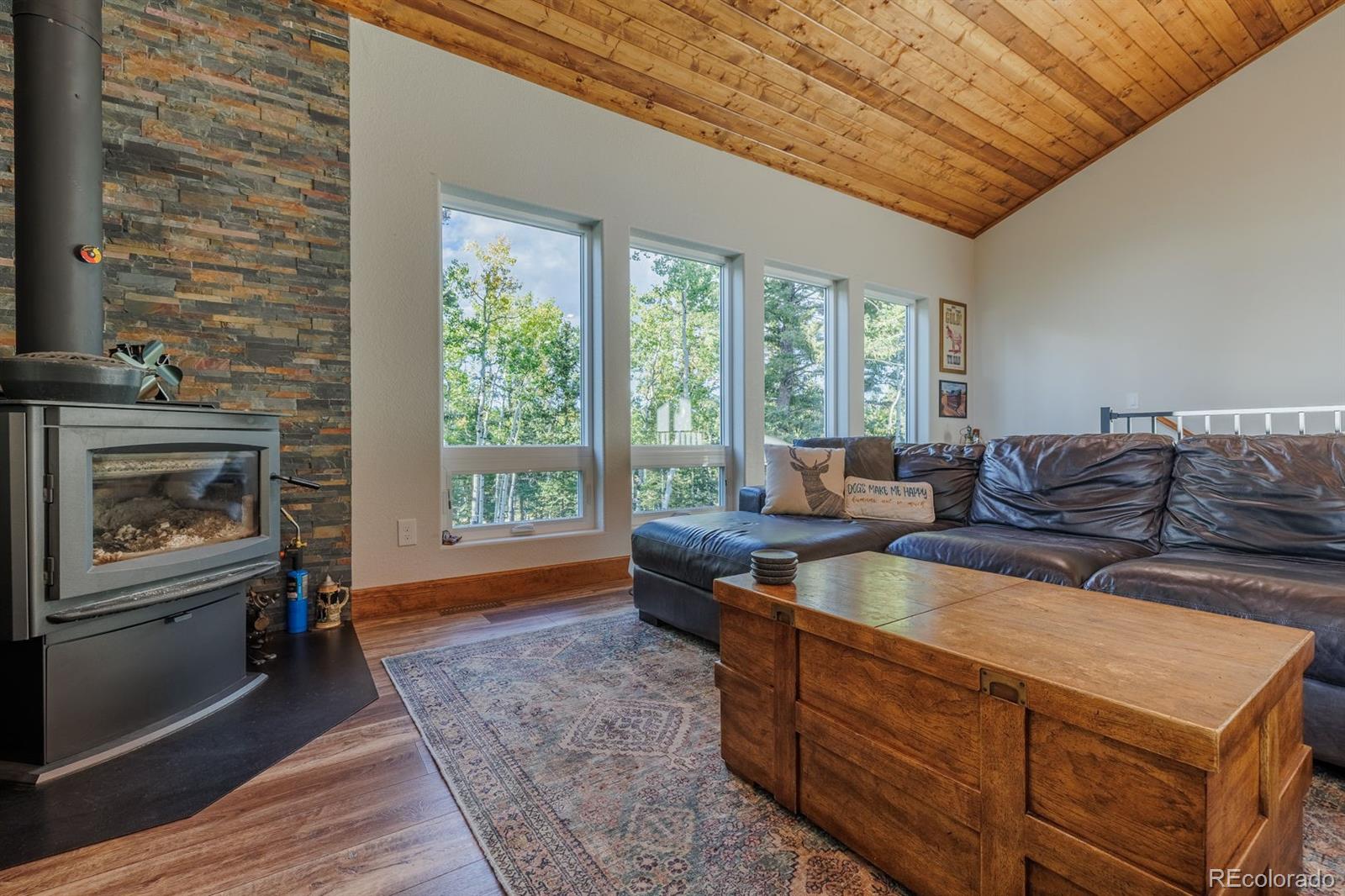 MLS Image #12 for 549  aspen village road,divide, Colorado