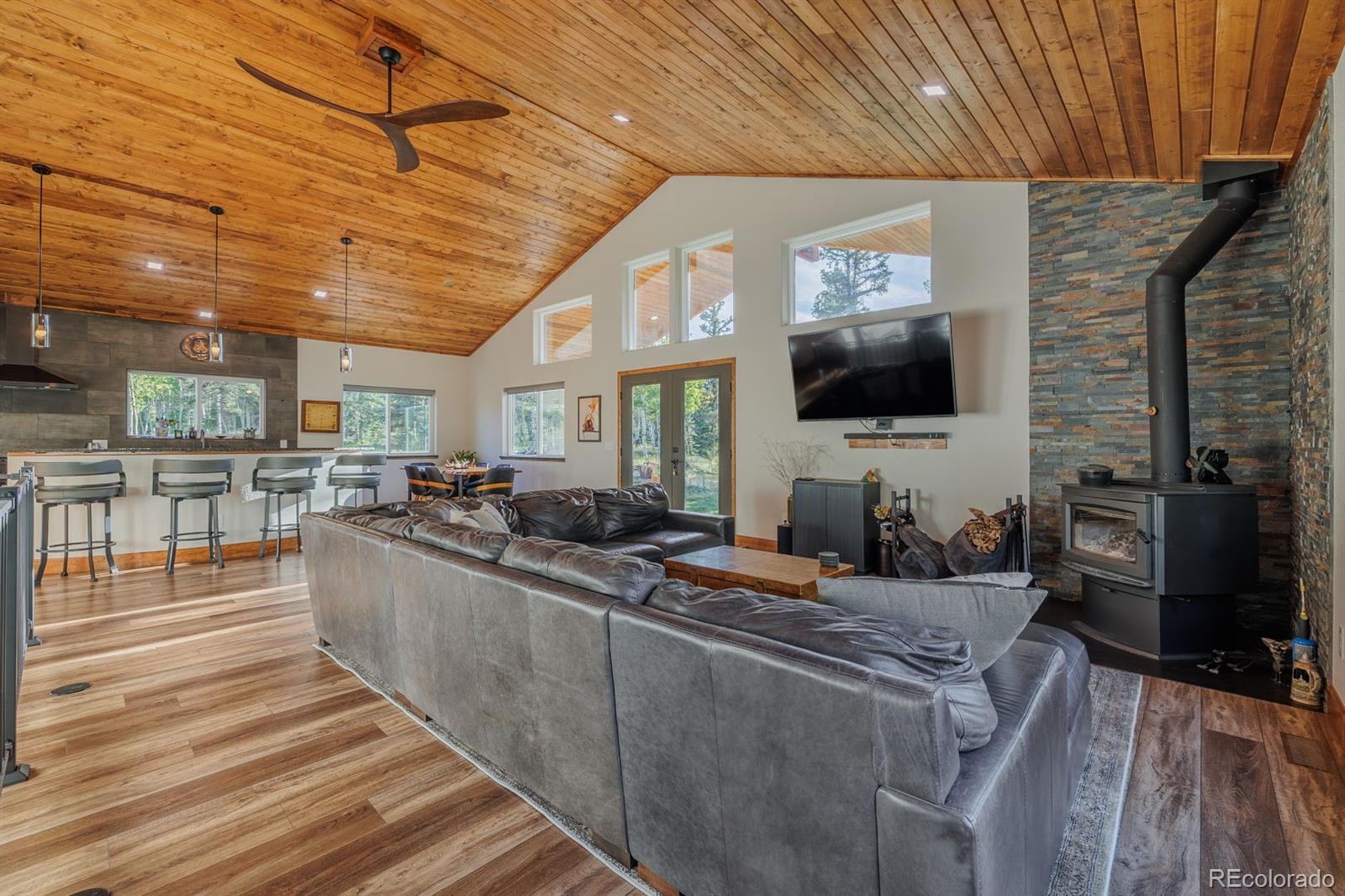 MLS Image #13 for 549  aspen village road,divide, Colorado