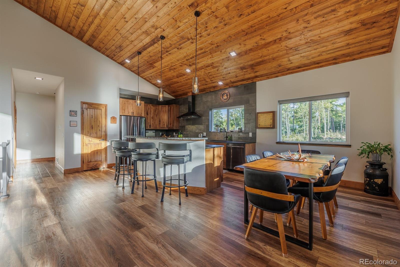MLS Image #14 for 549  aspen village road,divide, Colorado
