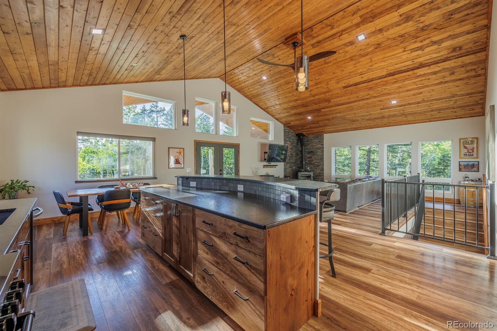 MLS Image #17 for 549  aspen village road,divide, Colorado