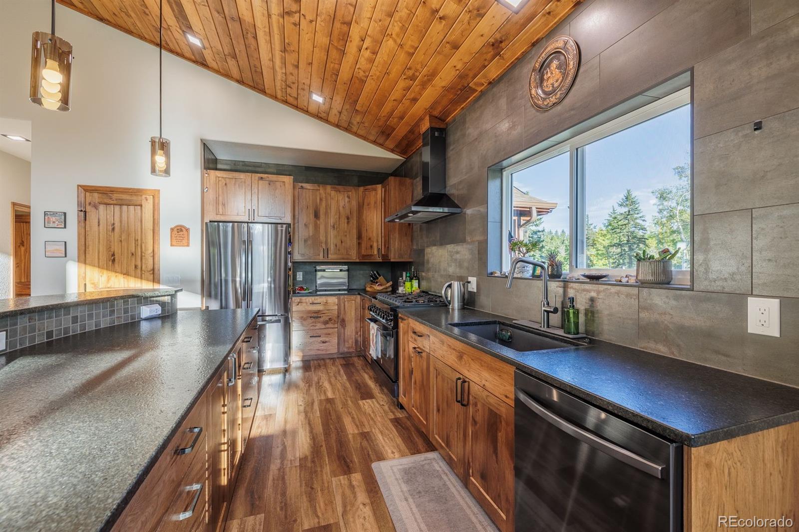 MLS Image #18 for 549  aspen village road,divide, Colorado