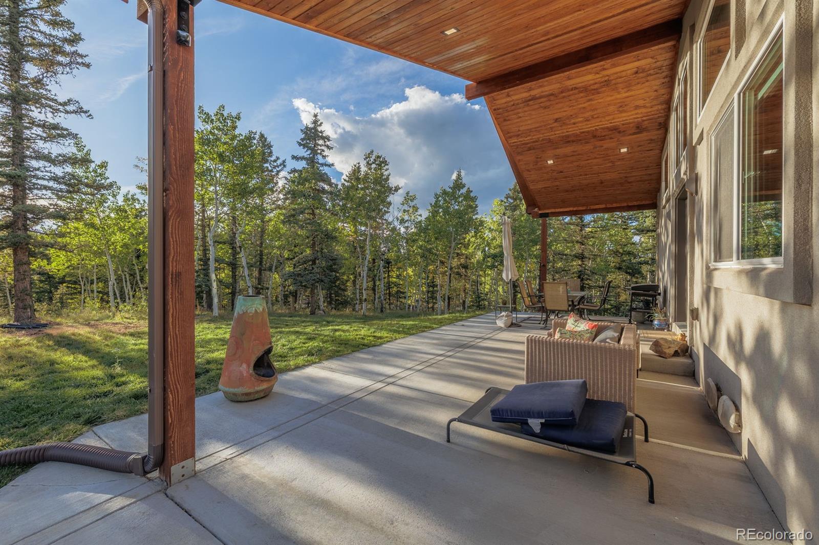 MLS Image #29 for 549  aspen village road,divide, Colorado