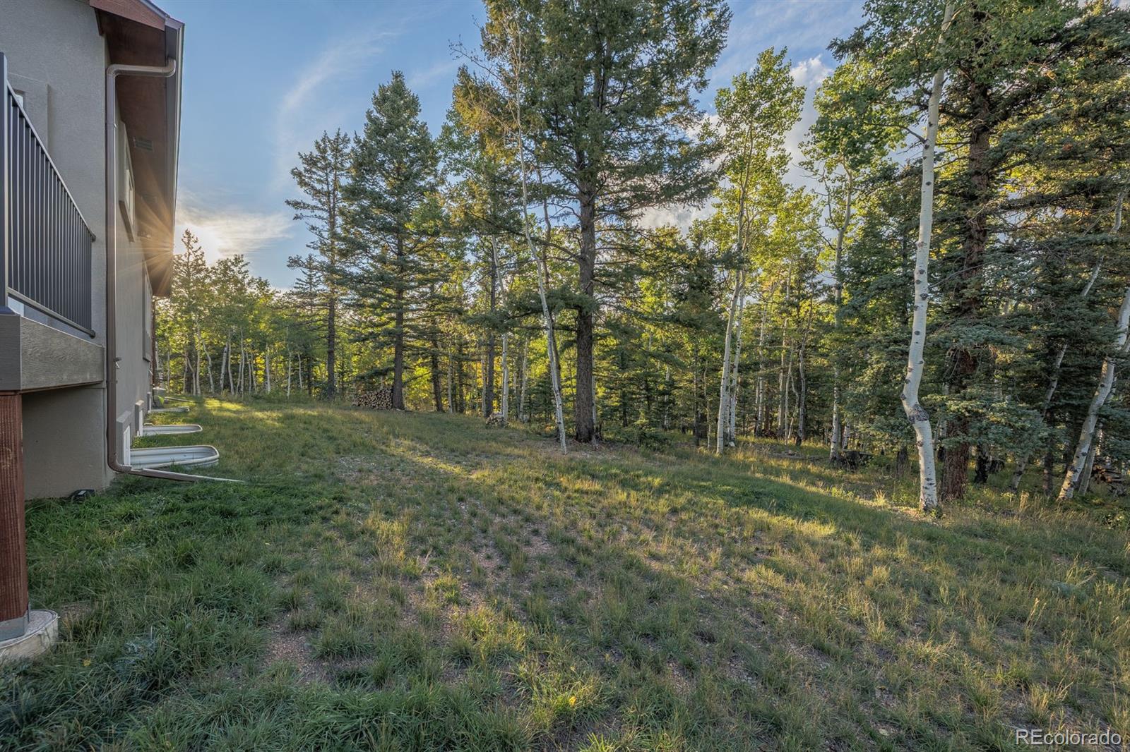 MLS Image #31 for 549  aspen village road,divide, Colorado