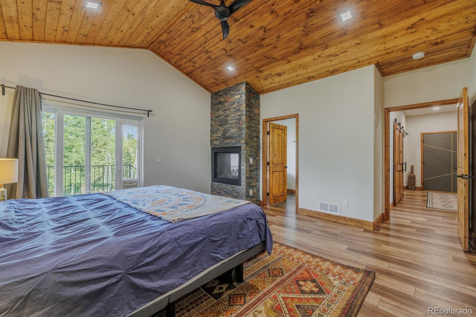 MLS Image #6 for 549  aspen village road,divide, Colorado