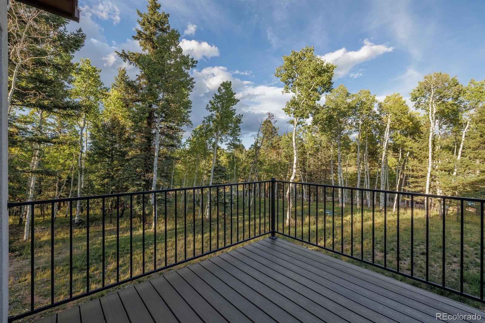 MLS Image #8 for 549  aspen village road,divide, Colorado