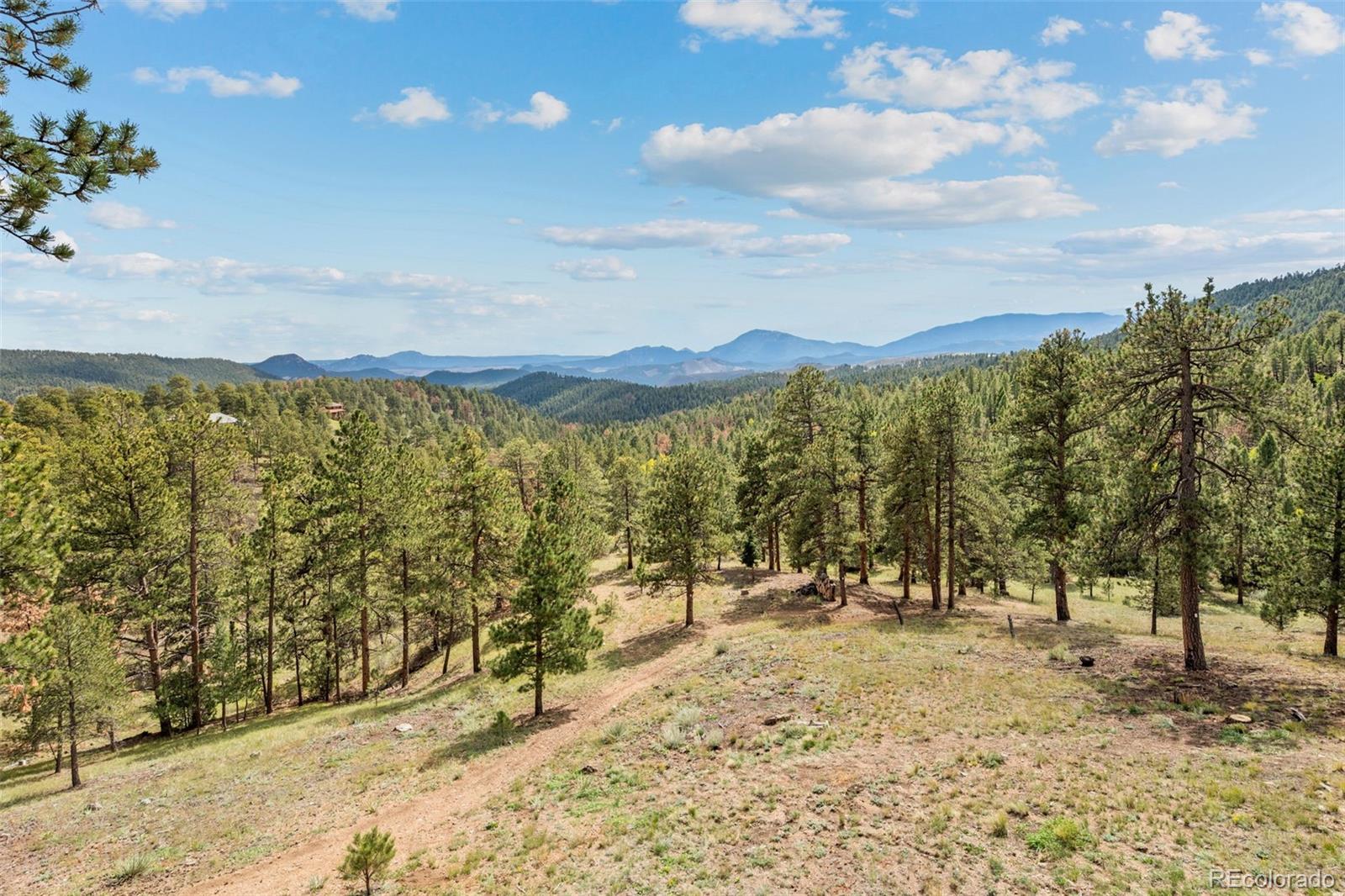 MLS Image #44 for 13721  douglas ranch drive,pine, Colorado