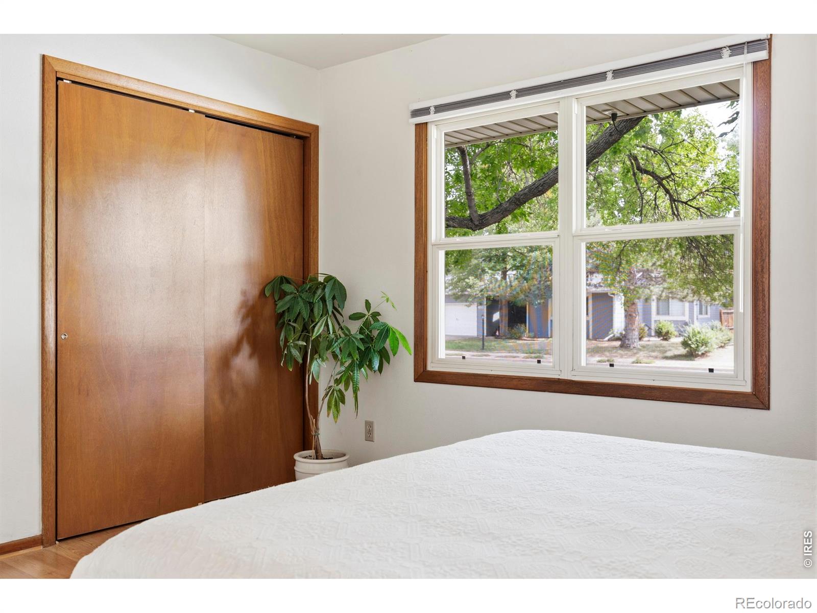 MLS Image #25 for 2921  alamosa court,loveland, Colorado