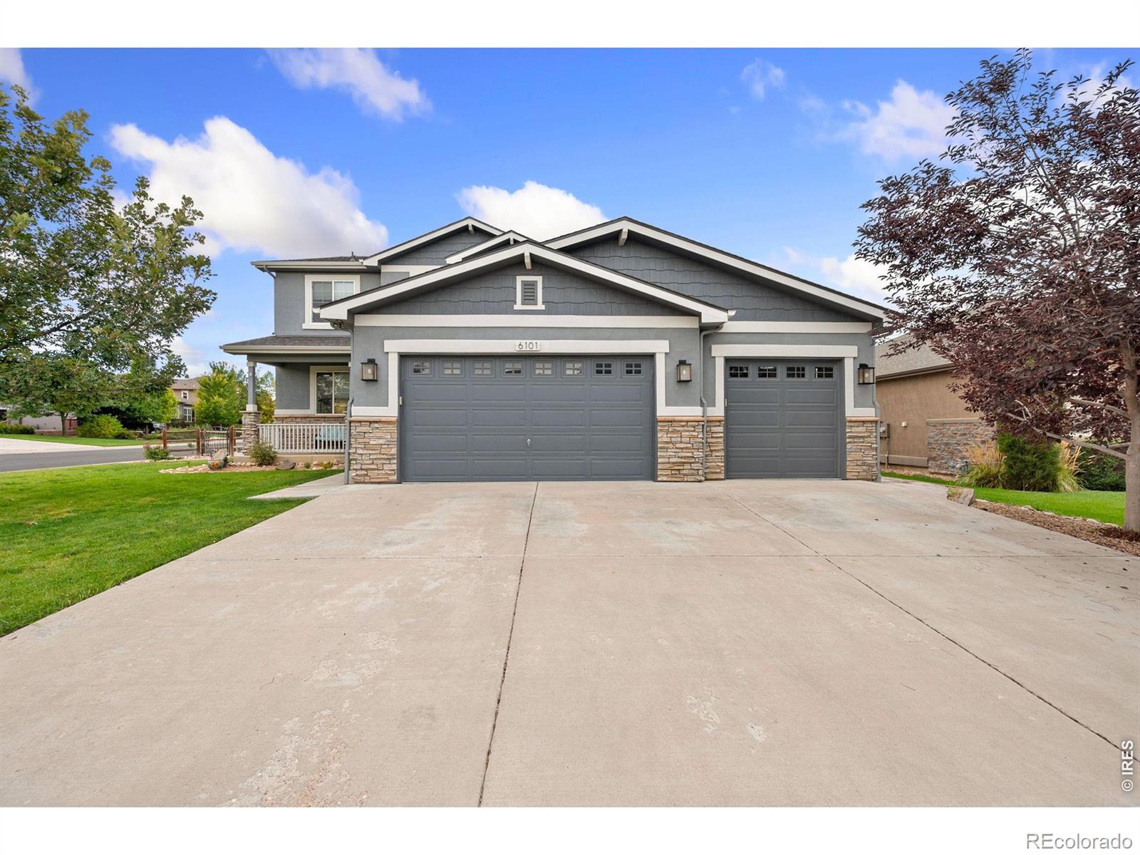 MLS Image #0 for 6101  chesney court,windsor, Colorado