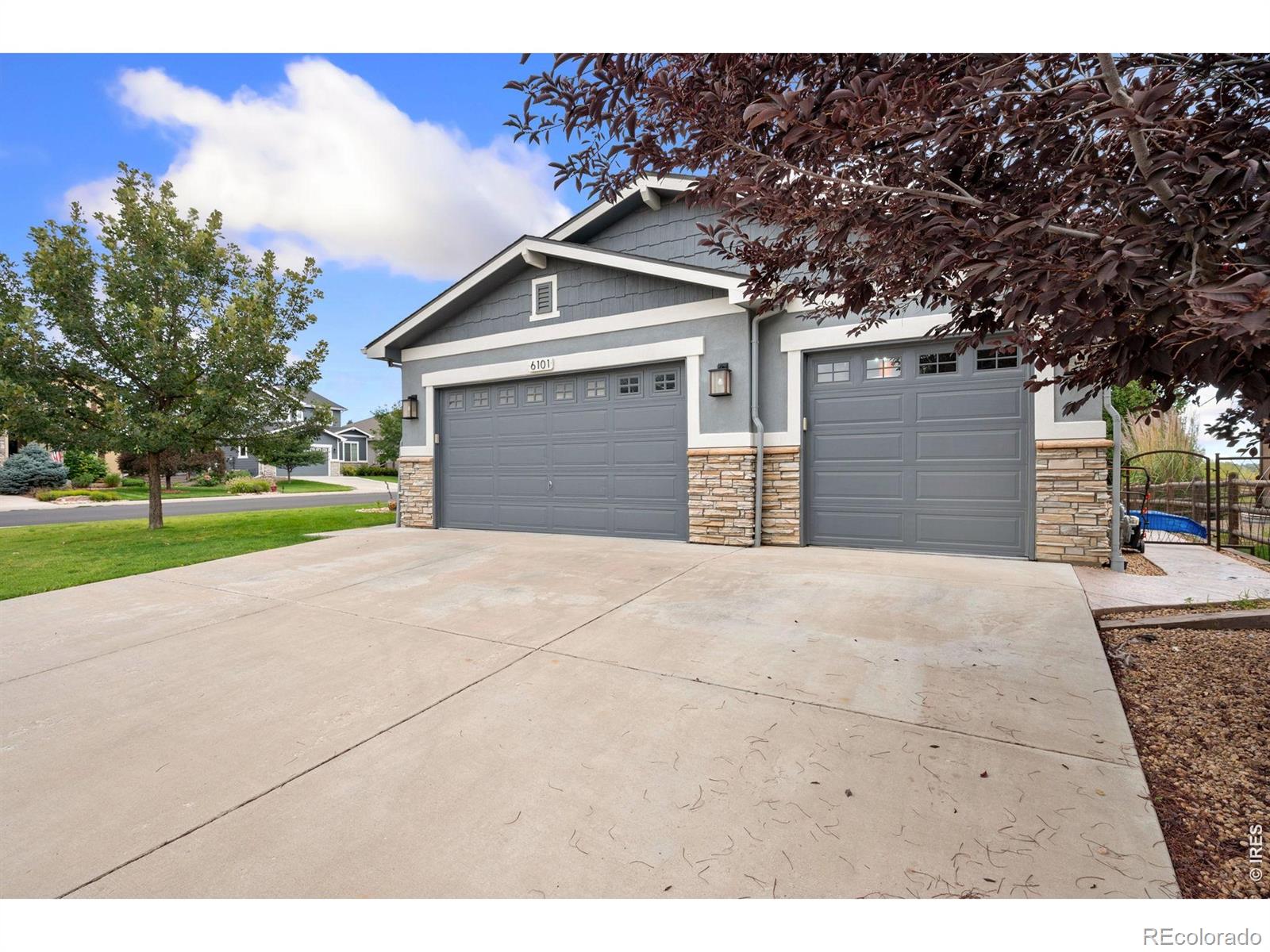 MLS Image #1 for 6101  chesney court,windsor, Colorado