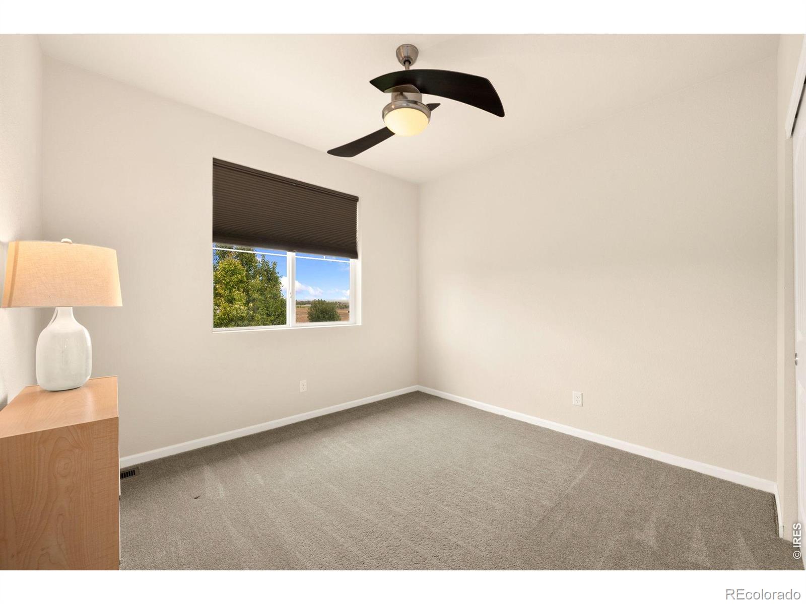 MLS Image #28 for 6101  chesney court,windsor, Colorado