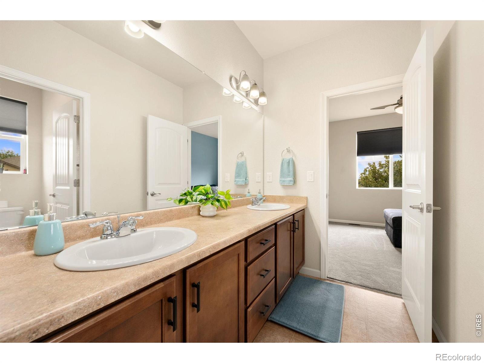 MLS Image #32 for 6101  chesney court,windsor, Colorado