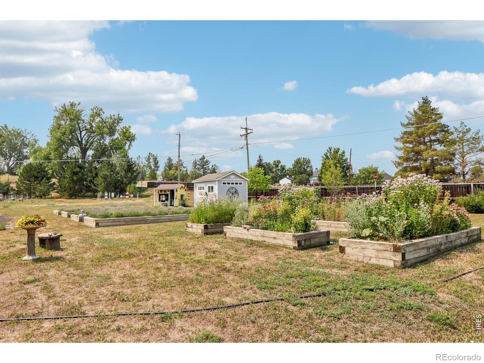 MLS Image #7 for 7922  meadowlake road,niwot, Colorado