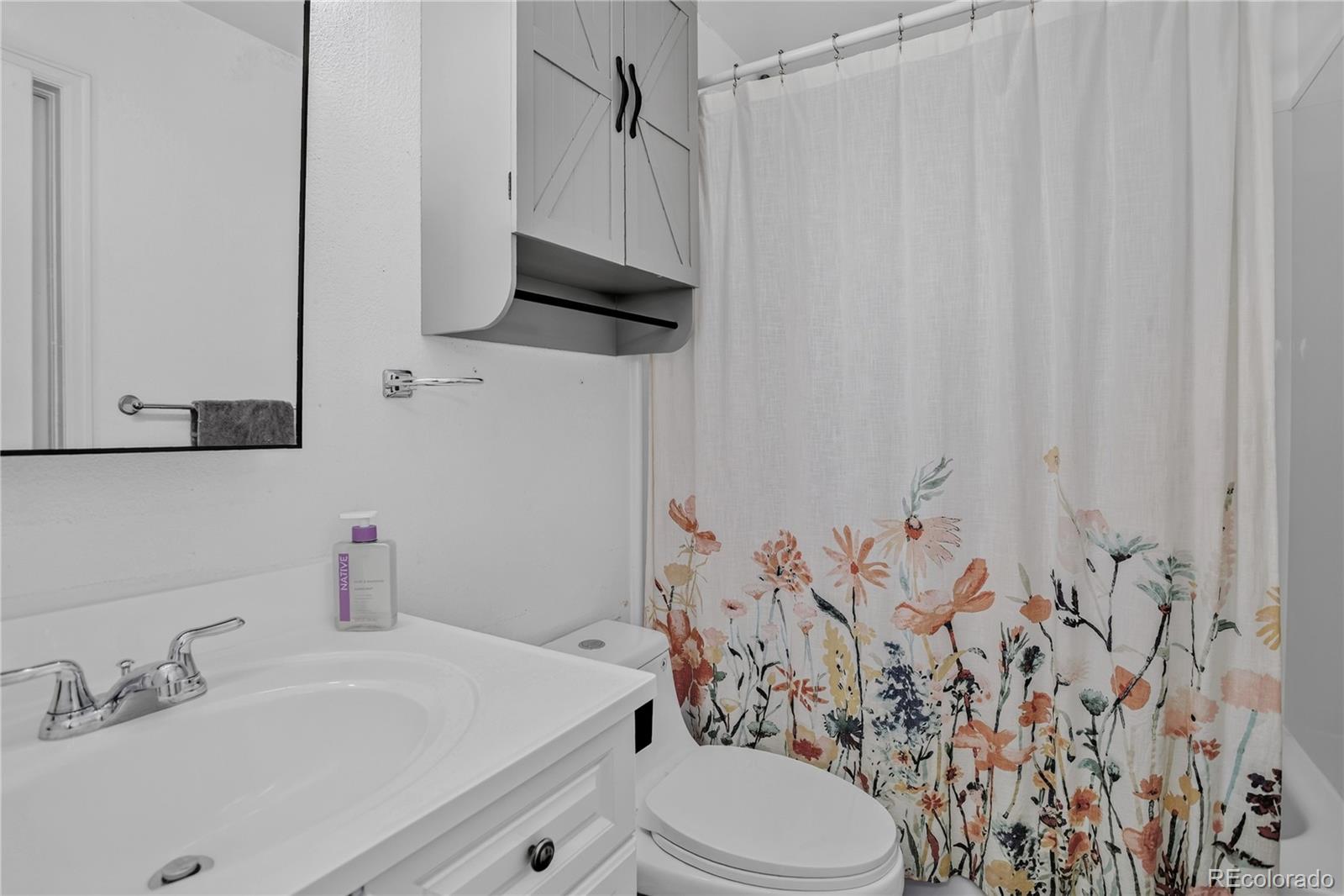 MLS Image #11 for 4398 s youngfield street,morrison, Colorado