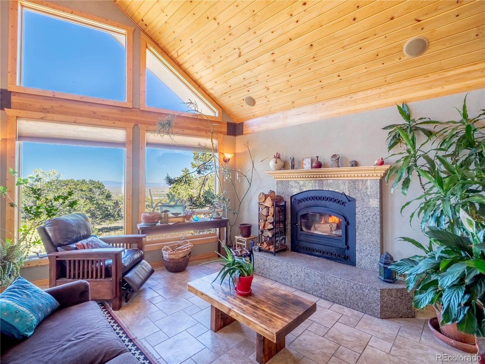 MLS Image #19 for 4262  serene way,crestone, Colorado