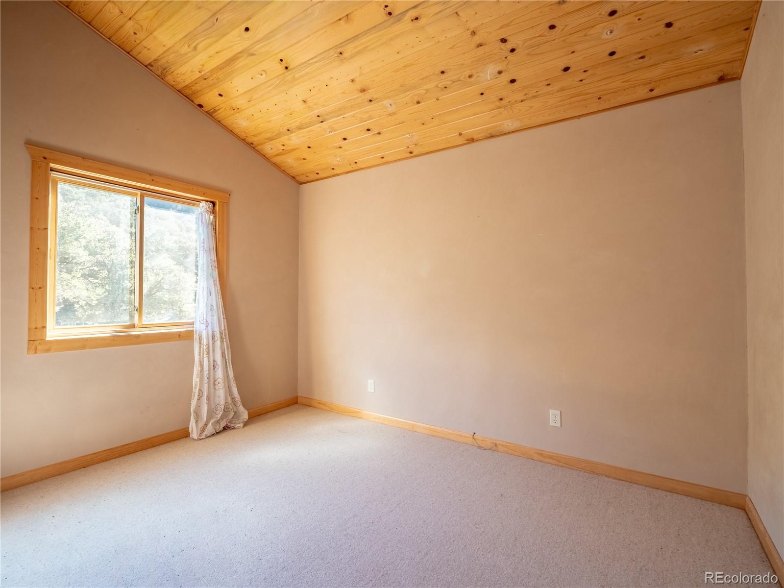 MLS Image #38 for 4262  serene way,crestone, Colorado