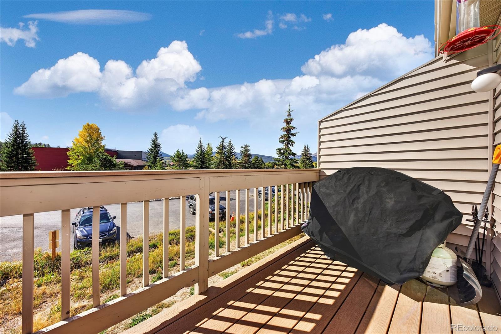 MLS Image #10 for 382  county road 832 ,fraser, Colorado