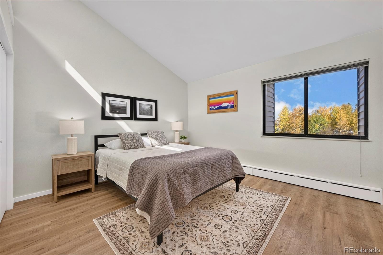 MLS Image #4 for 382  county road 832 ,fraser, Colorado