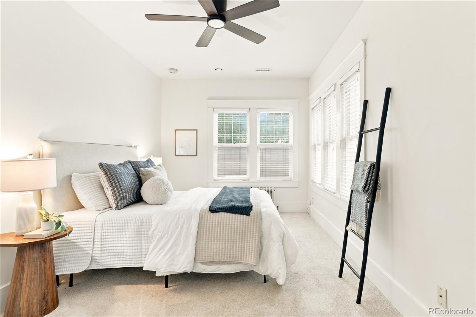MLS Image #16 for 1011  adams street,denver, Colorado