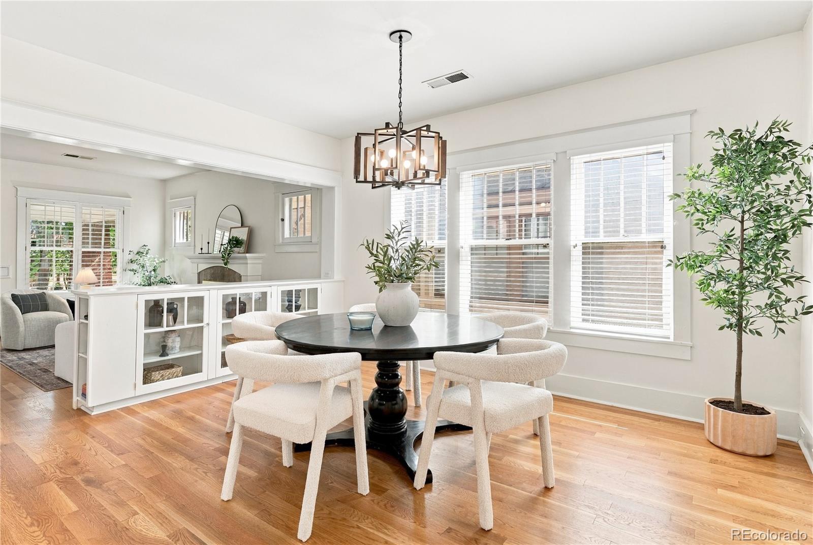MLS Image #5 for 1011  adams street,denver, Colorado