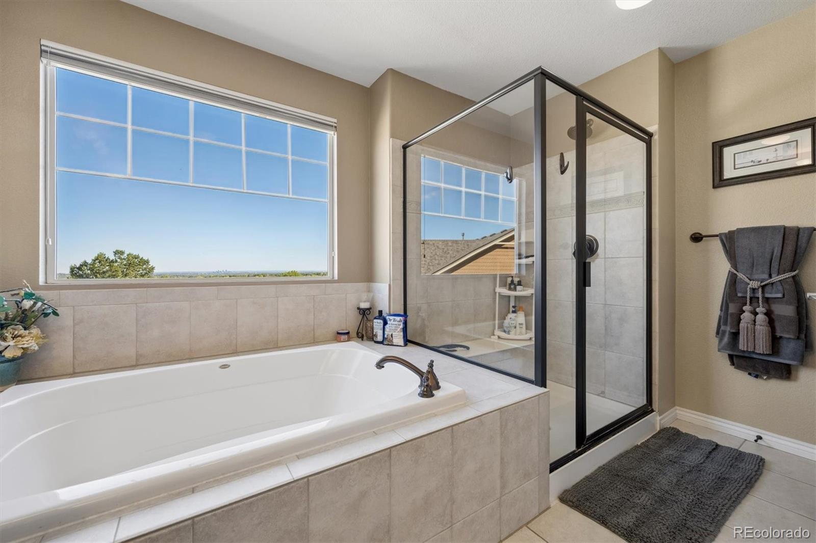 MLS Image #18 for 7765  terry court,arvada, Colorado