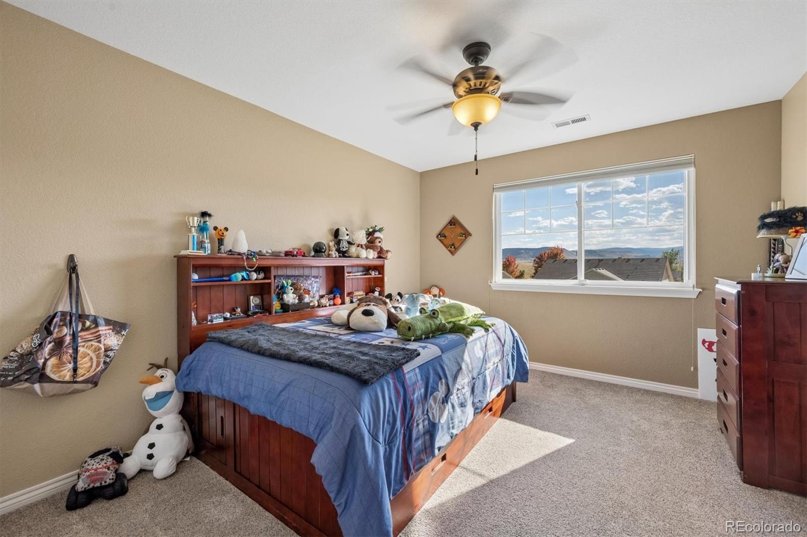 MLS Image #19 for 7765  terry court,arvada, Colorado