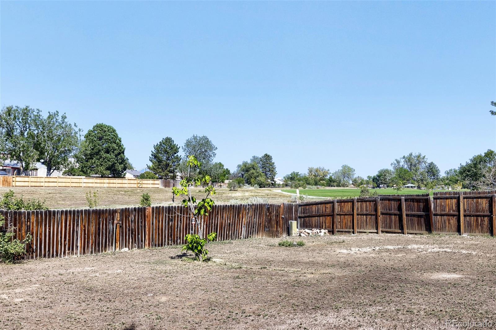 MLS Image #27 for 10929  birch drive,thornton, Colorado