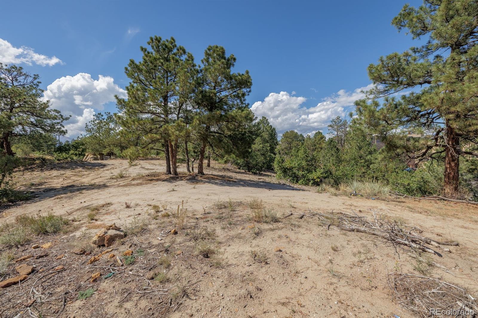 MLS Image #14 for 3610  hartsock lane,colorado springs, Colorado