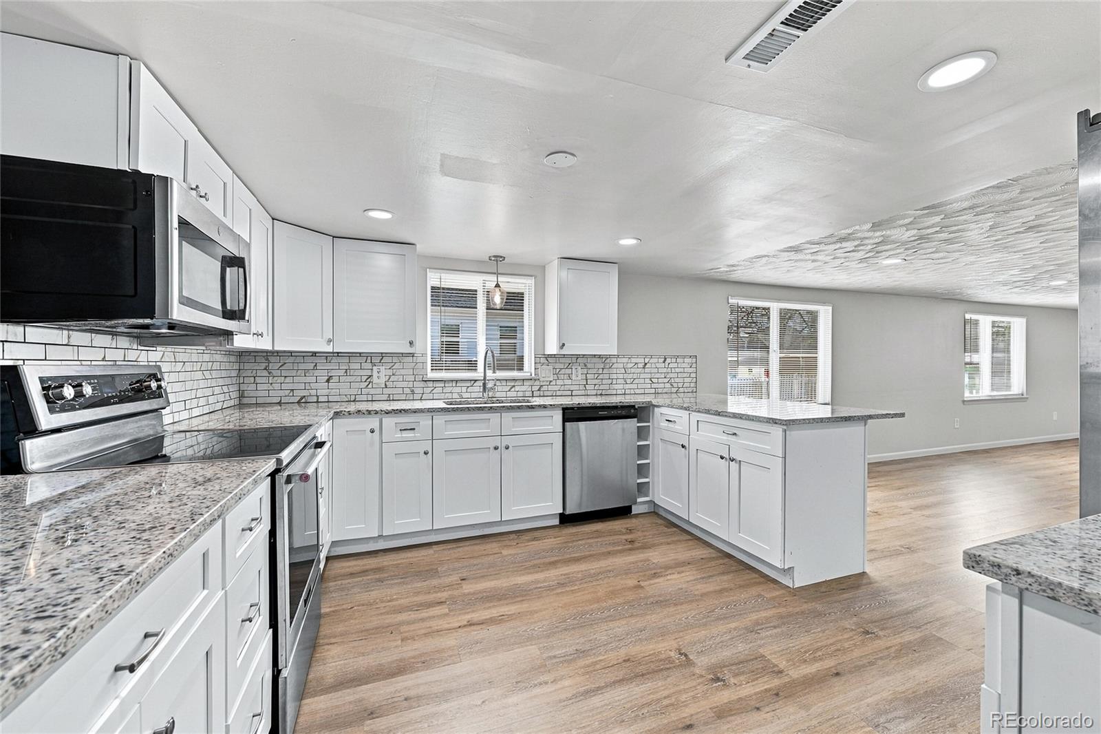 MLS Image #4 for 258 s sherman street,byers, Colorado