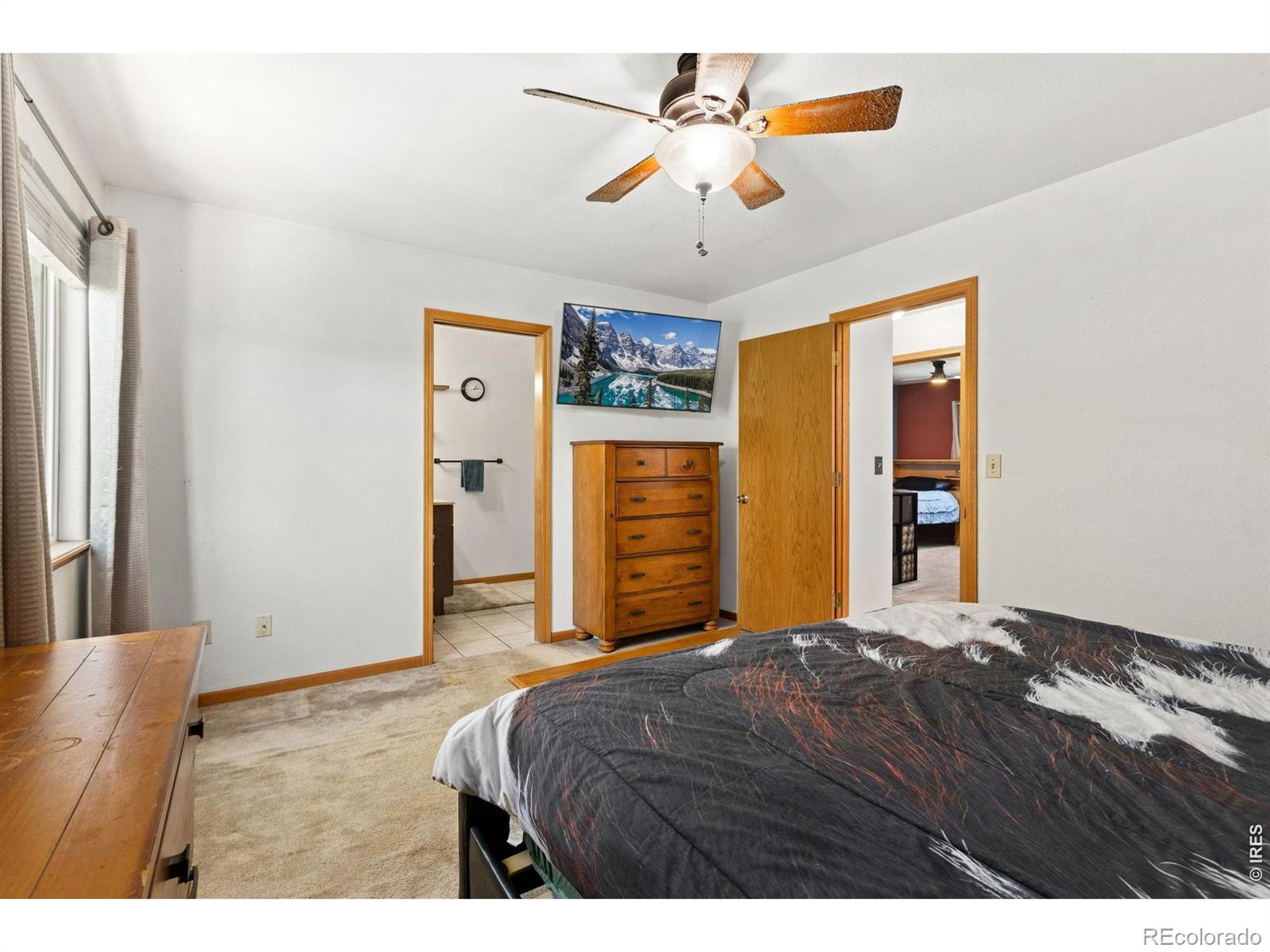 MLS Image #16 for 627  ash avenue,ault, Colorado