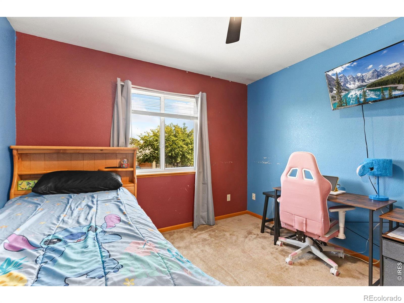MLS Image #24 for 627  ash avenue,ault, Colorado