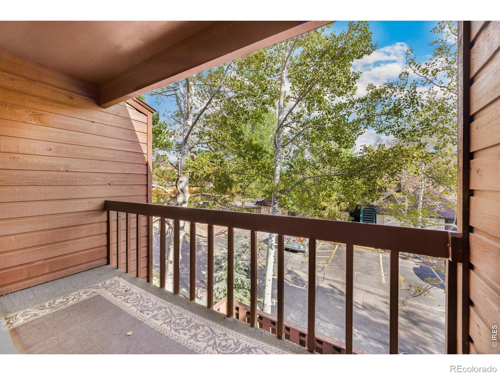 MLS Image #18 for 1050 s saint vrain avenue,estes park, Colorado