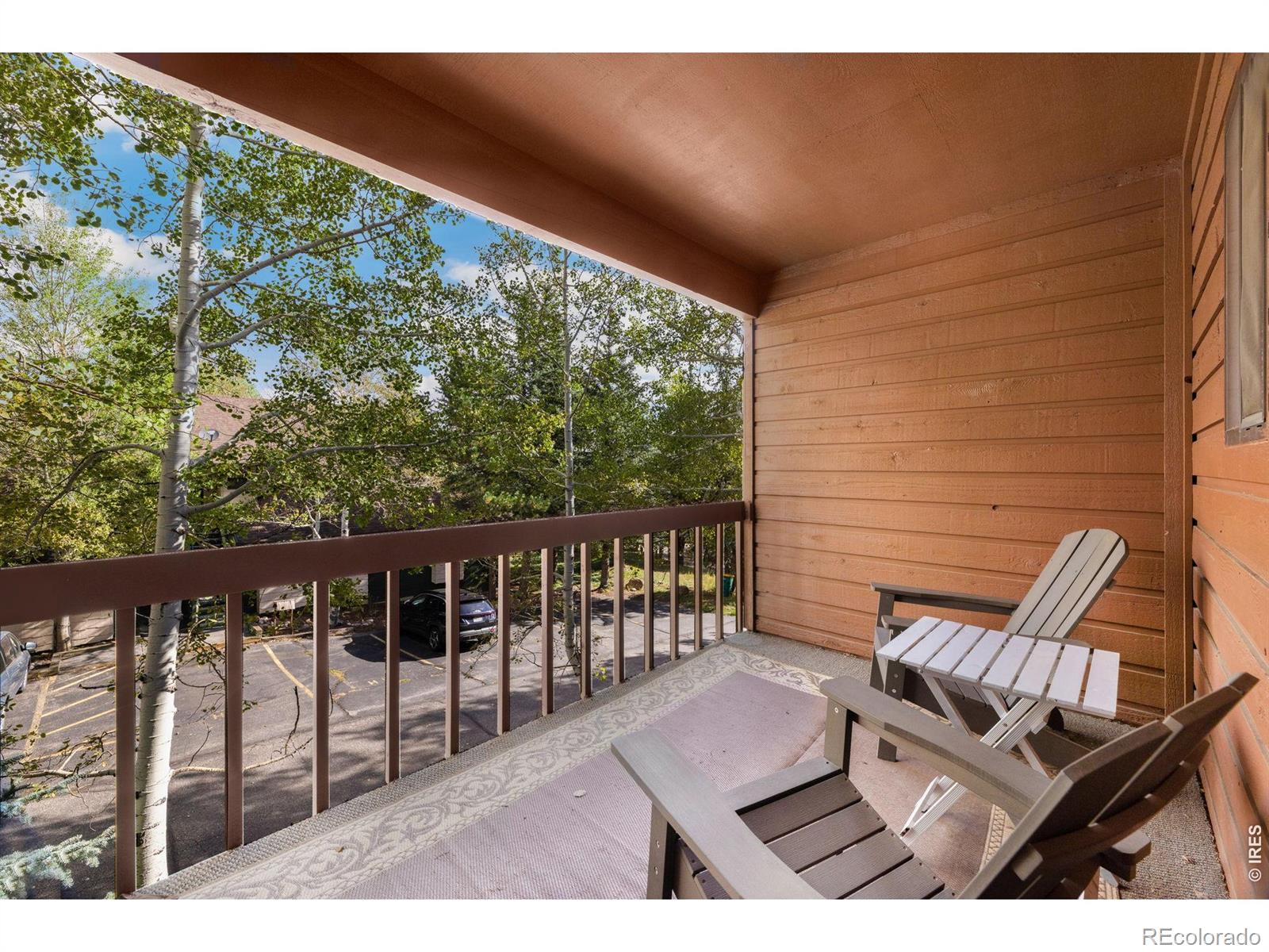 MLS Image #19 for 1050 s saint vrain avenue,estes park, Colorado