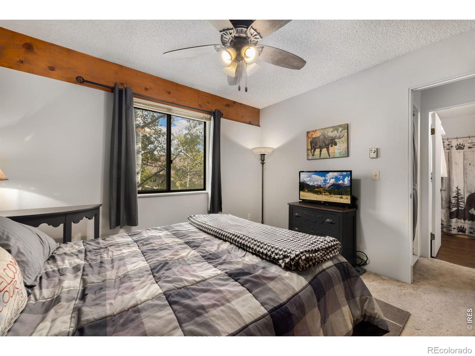 MLS Image #22 for 1050 s saint vrain avenue,estes park, Colorado