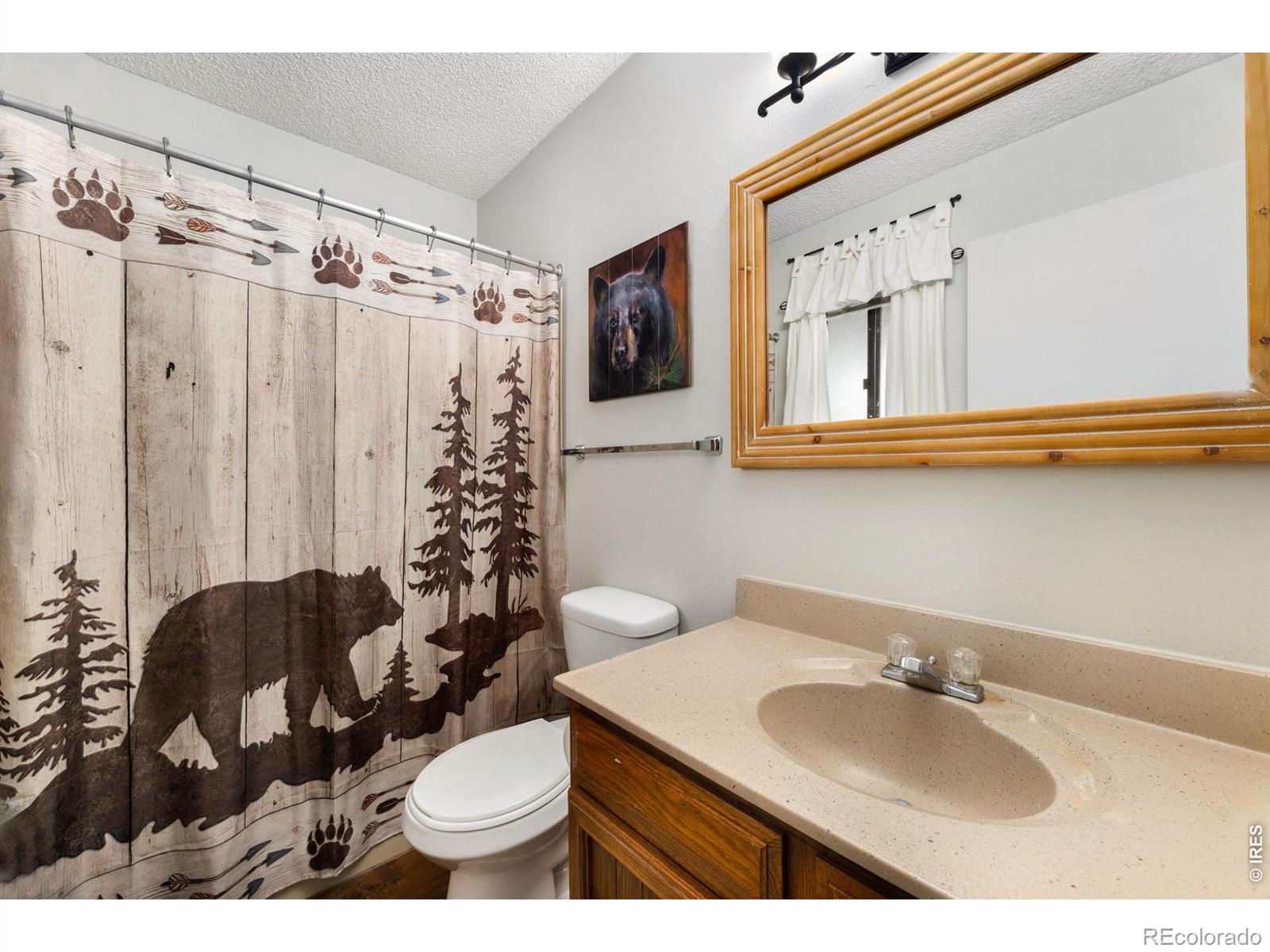 MLS Image #23 for 1050 s saint vrain avenue,estes park, Colorado