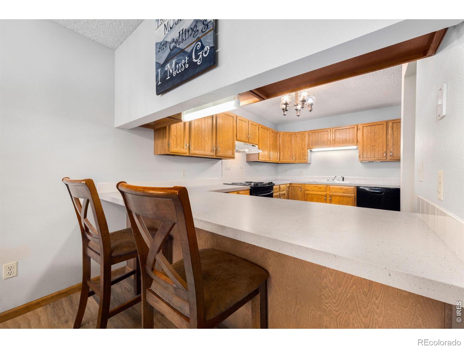 MLS Image #8 for 1050 s saint vrain avenue,estes park, Colorado