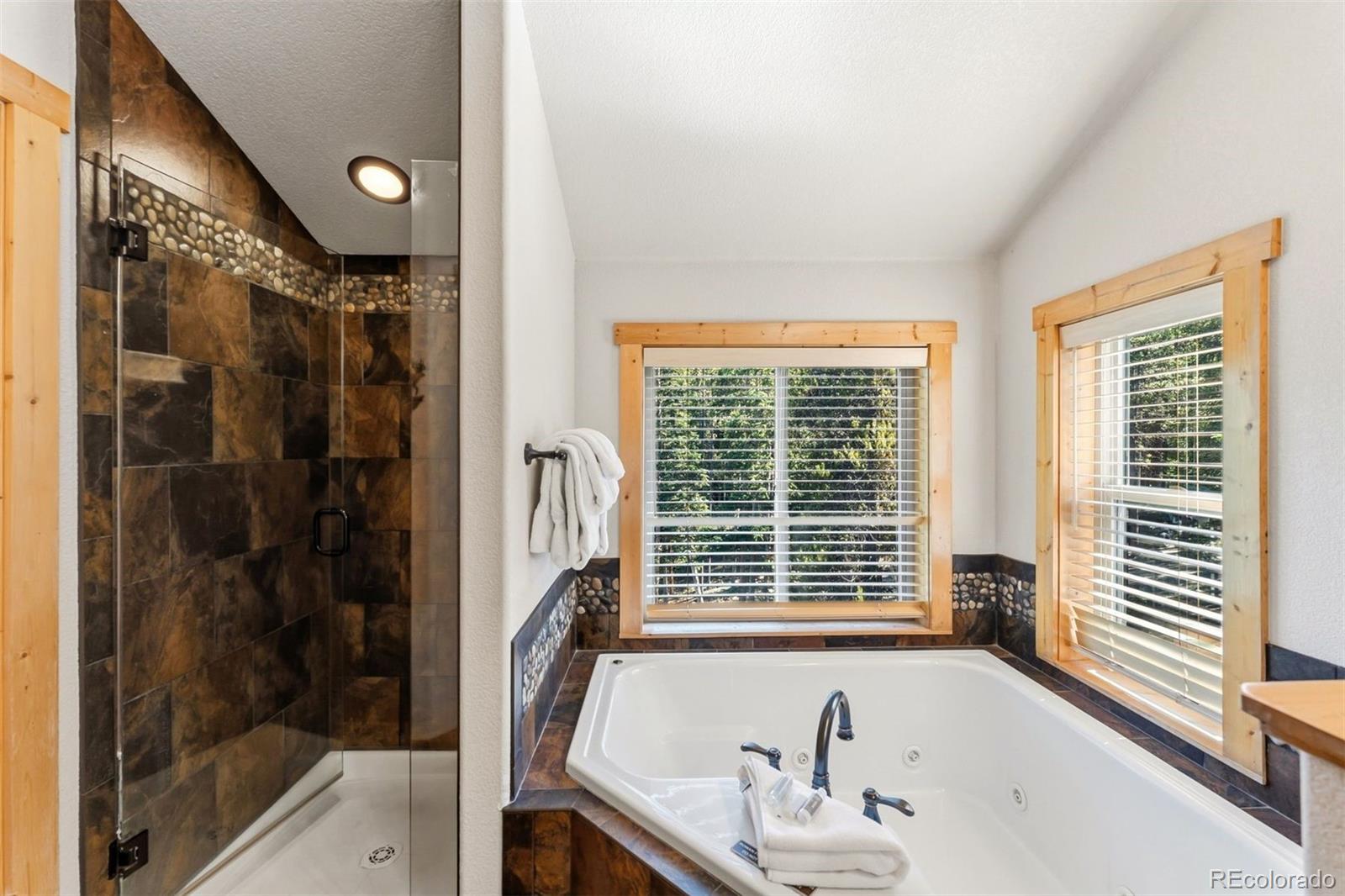 MLS Image #12 for 14  miners court,blue river, Colorado