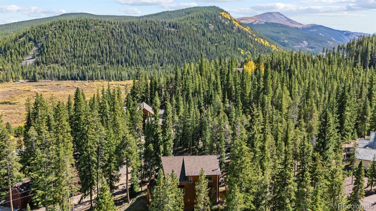 MLS Image #16 for 14  miners court,blue river, Colorado