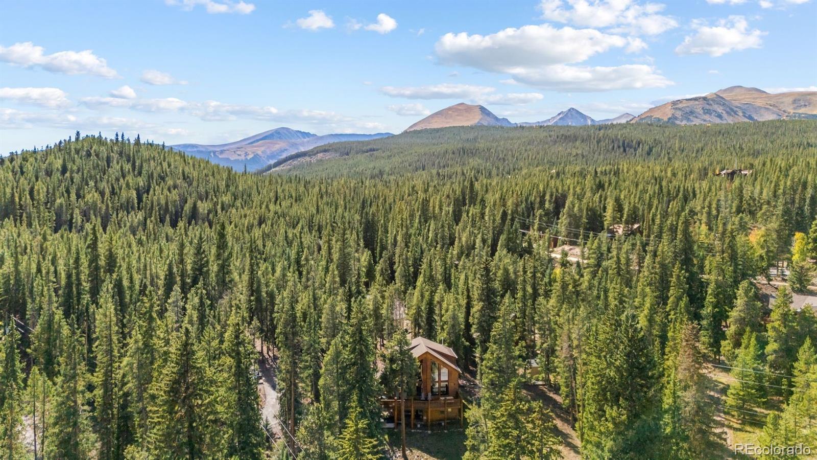 MLS Image #17 for 14  miners court,blue river, Colorado