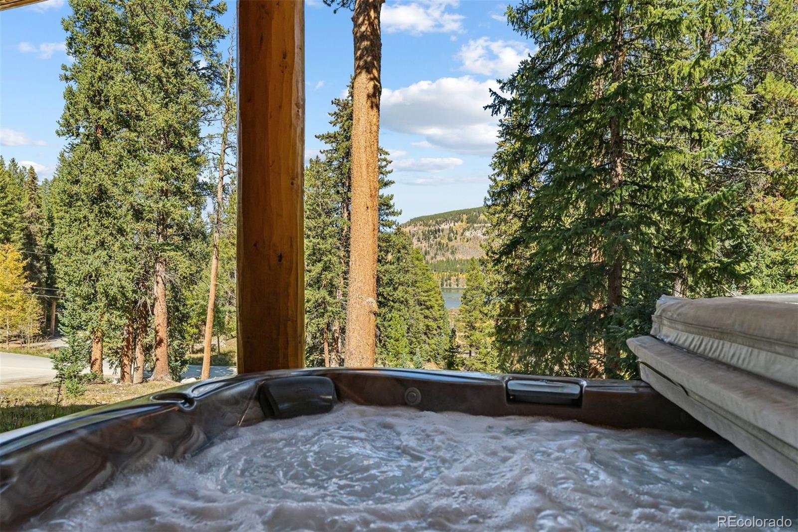MLS Image #18 for 14  miners court,blue river, Colorado